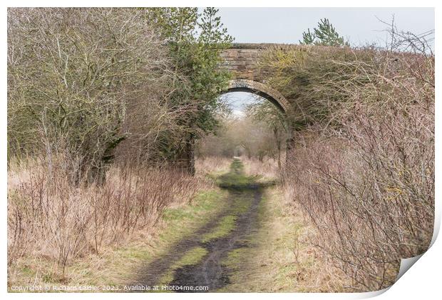 The Tees Railway Path at Cotherstone Print by Richard Laidler