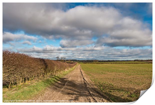Track and Sky  Print by Richard Laidler