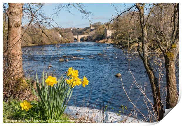 County Bridge and River Tees at Barnard Castle in Spring Print by Richard Laidler