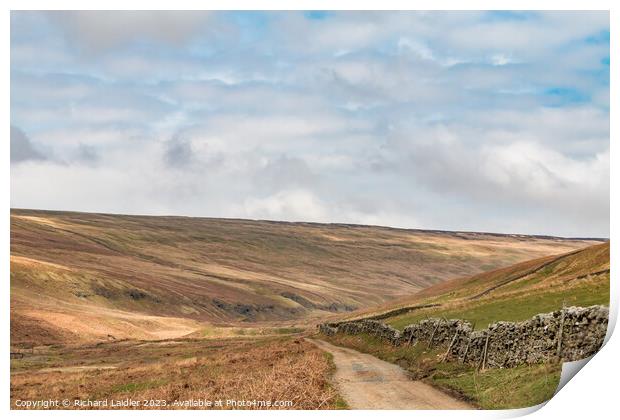The Hudes Hope, Teesdale, in Early Spring (1) Print by Richard Laidler