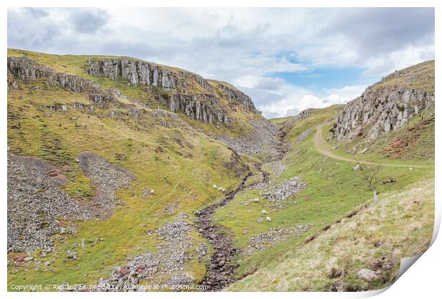 Holwick Scar, Teesdale (2) Print by Richard Laidler