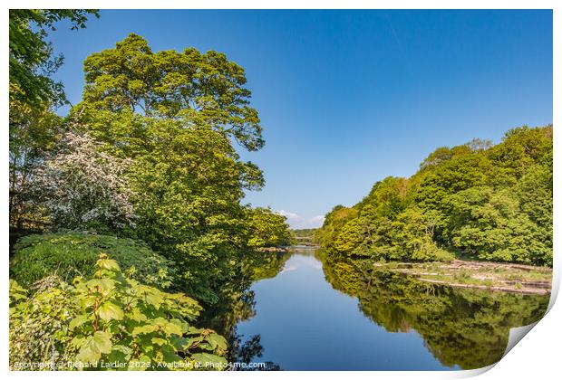 Spring Morning on the Tees at Wycliffe, Teesdale Print by Richard Laidler