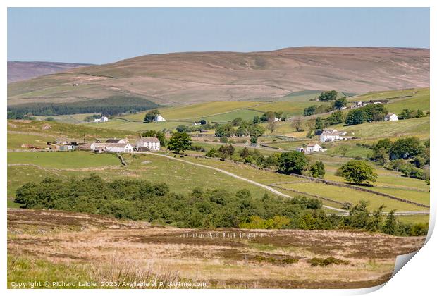 Forest in Teesdale from Holwick Fell Print by Richard Laidler