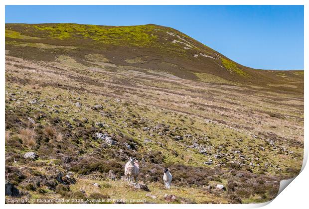 Noon Hill, Teesdale Print by Richard Laidler