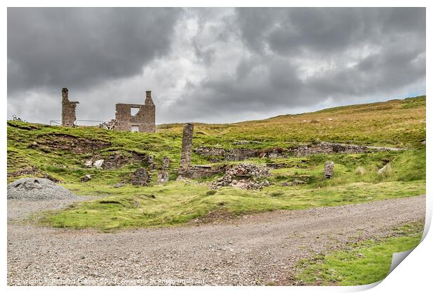 Flushiemere House and Mine Remains, Teesdale Print by Richard Laidler