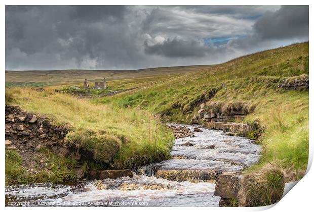 Flushiemere Beck, Teesdale Print by Richard Laidler