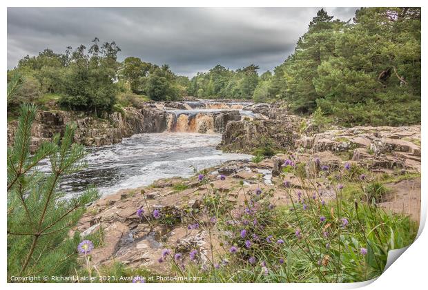A Damp Day at Low Force Waterfall in Late Summer Print by Richard Laidler