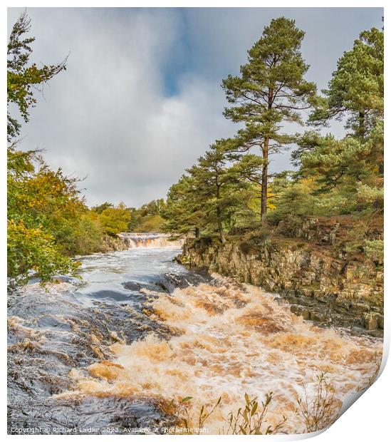 Low Force Waterfall, Teesdale, from Wynch Bridge Print by Richard Laidler