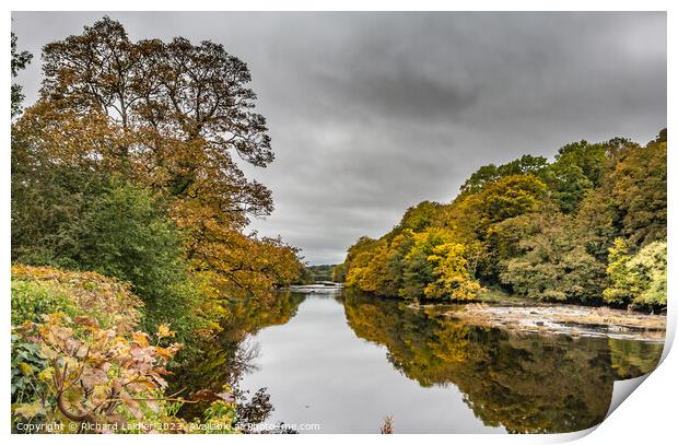 Autumn Reflections at Wycliffe, Teesdale Print by Richard Laidler