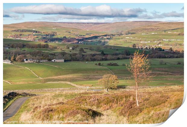 Towards the Hudes Hope from Harker Hill, Teesdale Print by Richard Laidler