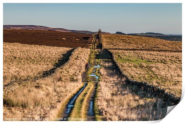 Botany Road, Mickleton, Teesdale Looking East Print by Richard Laidler