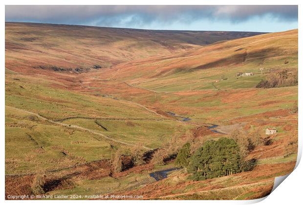 Winter Sun in the Hudeshope, Teesdale Print by Richard Laidler