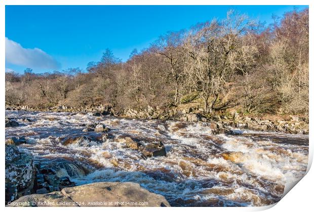 River Tees above High Force Print by Richard Laidler