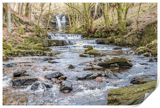 Bow Lee Beck and Summerhill Force, Teesdale Print by Richard Laidler