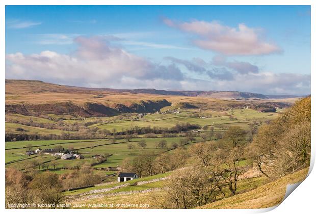 Across to Holwick from Middle Side, Teesdale Print by Richard Laidler