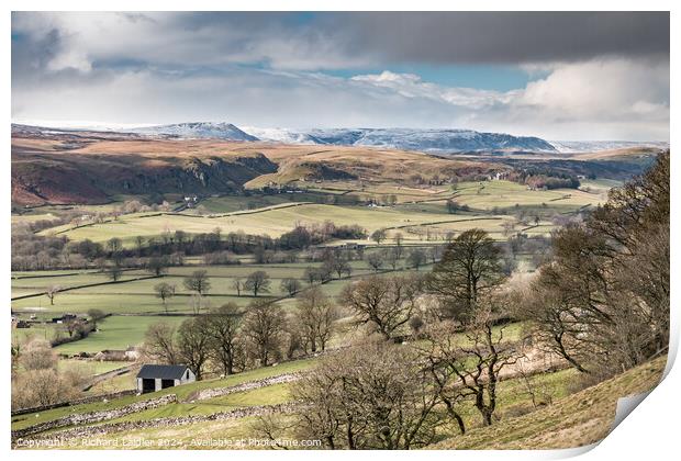 Holwick and Cronkley from Middle Side, Teesdale Print by Richard Laidler