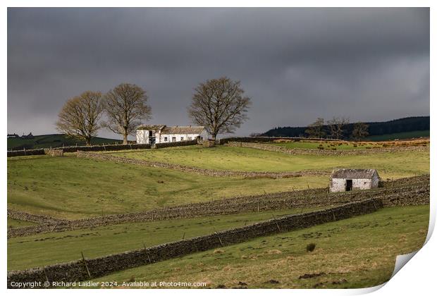 Another Barn in the Spotlight, Bowlees, Teesdale ( Print by Richard Laidler