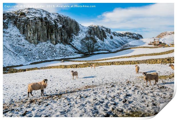 Winter at Holwick Scar, Upper Teesdale Print by Richard Laidler