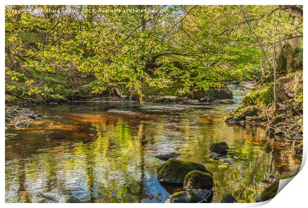 Tranquil Pool on Thwaite Beck, Swaledale Yorkshire Print by Richard Laidler