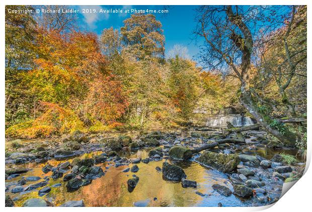Autumn at Cotter Force Waterfall, Yorkshire Dales Print by Richard Laidler