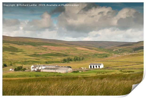 Middle End Farm, Upper Teesdale Print by Richard Laidler