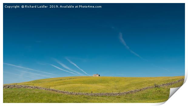 Solitary barn in flower meadows, Teesdale Print by Richard Laidler