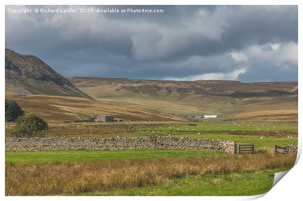 Cronkley Scar and Widdybank Fell, Upper Teesdale Print by Richard Laidler