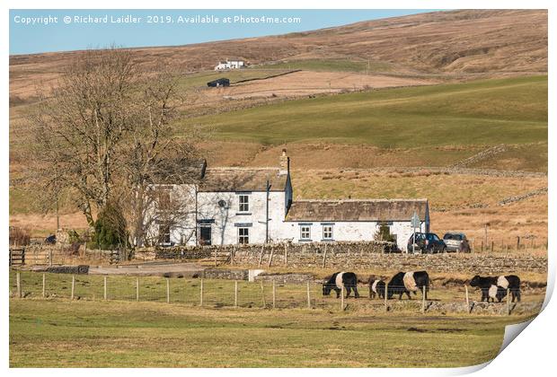 Low End Farm, Harwood, Upper Teesdale Print by Richard Laidler