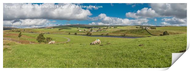 Forest in Teesdale Panorama Print by Richard Laidler