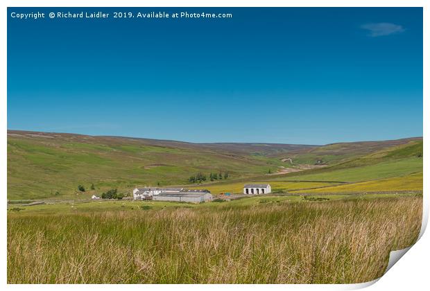 Middle End Farm, Great Eggleshope, Teesdale Print by Richard Laidler