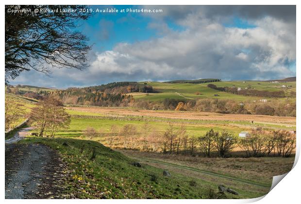 Ettersgill from Holwick, Teesdale in Autumn Print by Richard Laidler