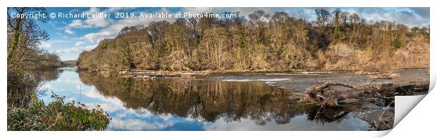 River Tees at Wycliffe Panorama Print by Richard Laidler