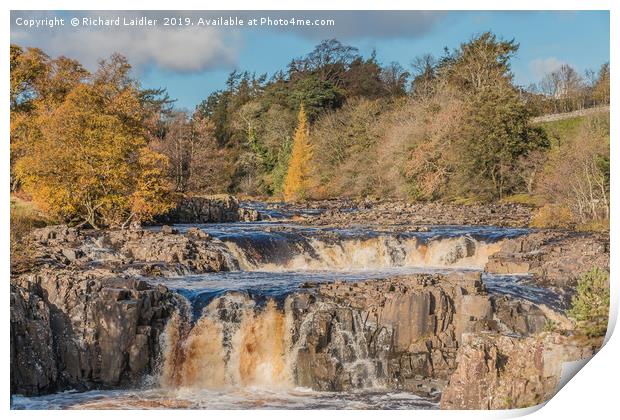 Autumn at Low Force Waterfall, Teesdale Print by Richard Laidler