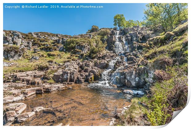 Spring at Blea Beck Force Waterfall, Teesdale Print by Richard Laidler