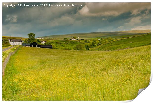 Ettersgill Farms and Hay Meadows, Teesdale Print by Richard Laidler