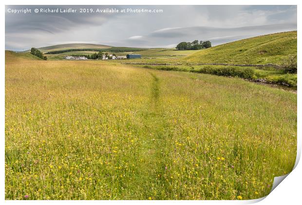 Flowering Hay Meadows at Langdon Beck, Teesdale Print by Richard Laidler
