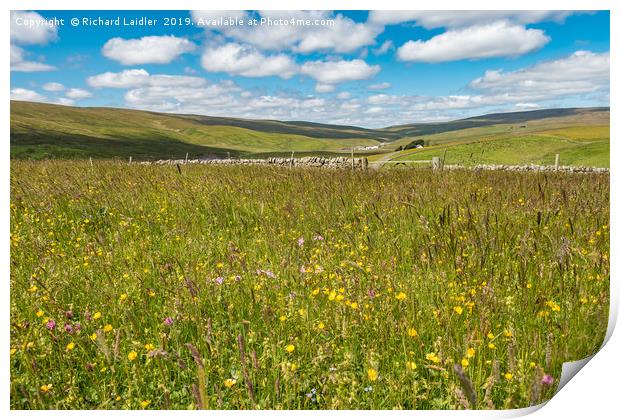 Hay Meadows at Lingy Hill Farm, Upper Teesdale Print by Richard Laidler