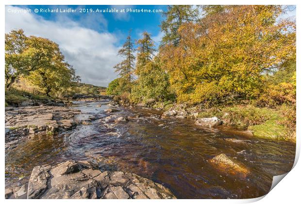 Autumn on the River Tees at Forest in Teesdale Print by Richard Laidler