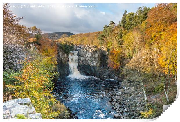 Autumn Colours at High Force Waterfall 1 Print by Richard Laidler