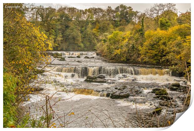 Autumn at Aysgarth Upper Falls, Yorkshire Dales Print by Richard Laidler