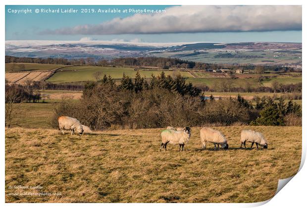 Wintry Teesdale from Barningham Moor Print by Richard Laidler