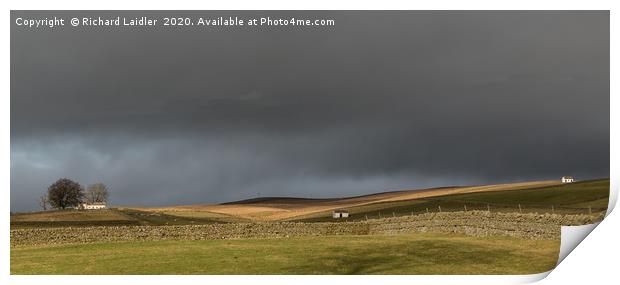 Bowlees Barns, Teesdale in Winter Sun Print by Richard Laidler