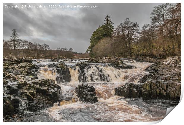 Salmon Leap Falls, River Tees, in Wintry Sun Print by Richard Laidler