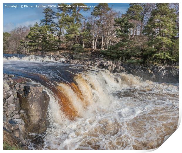 Low Force Waterfall from the Pennine Way, Teesdale Print by Richard Laidler