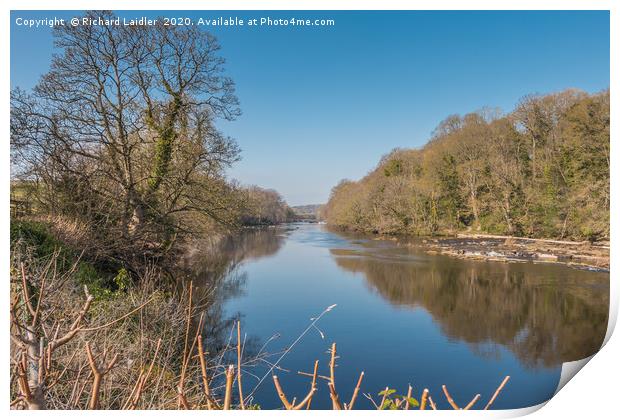 The River Tees at Wycliffe, Teesdale, in Spring Print by Richard Laidler