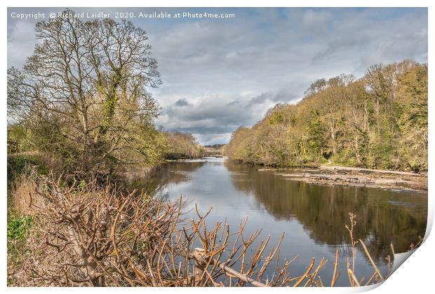 River Tees at Wycliffe, Teesdale, in Early Spring Print by Richard Laidler
