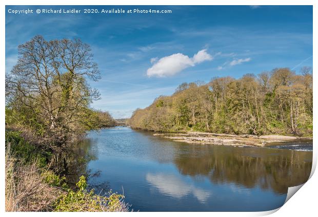 The River Tees at Wycliffe in April Sunshine Print by Richard Laidler