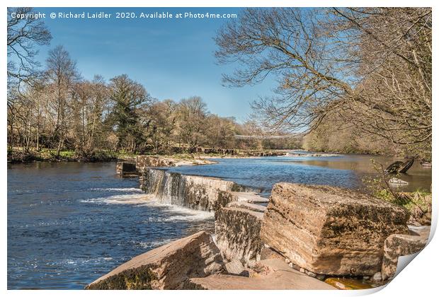 The River Tees at Whorlton, Teesdale in Spring Print by Richard Laidler