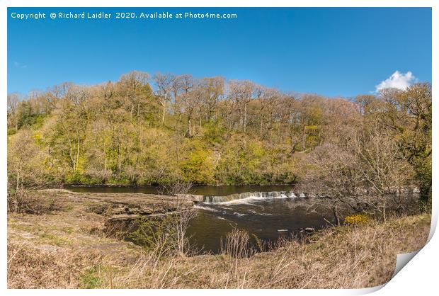 The River Tees at Whorlton in Spring Sunshine Print by Richard Laidler