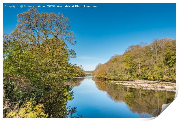 The River Tees at Wycliffe in Late April Sunshine Print by Richard Laidler